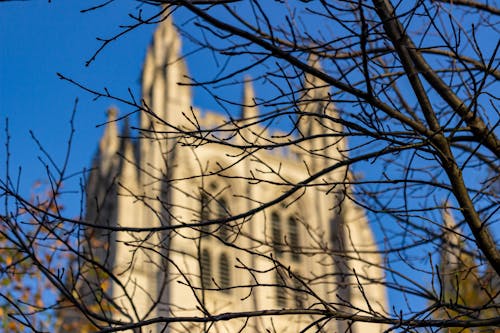 Washinton DC National Cathedral