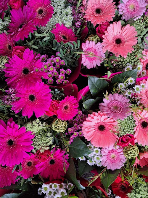 Abundance of Pink Flowers