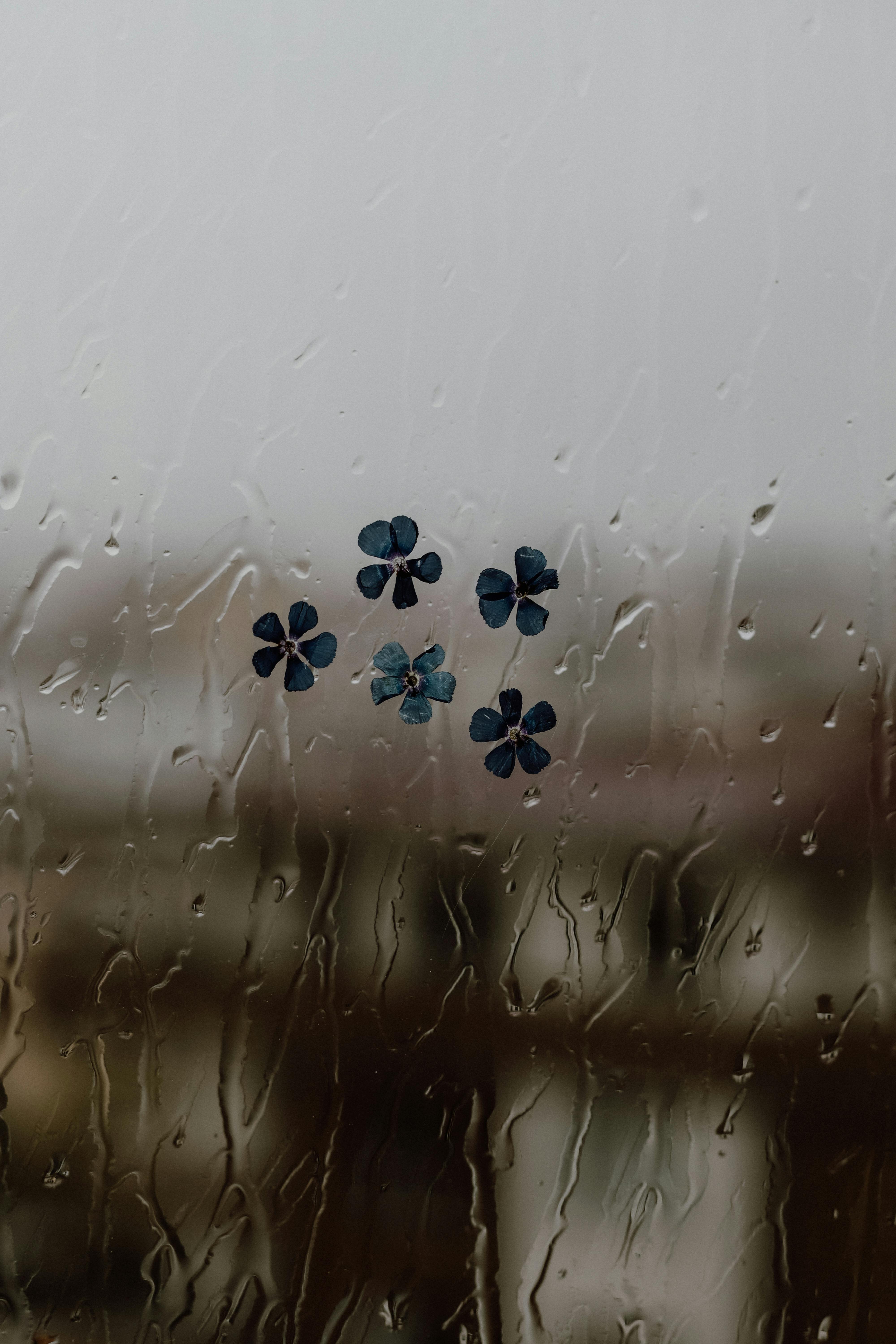 Artistic shot of raindrops on a window, adorned with blue flower decals, creating a moody atmosphere.