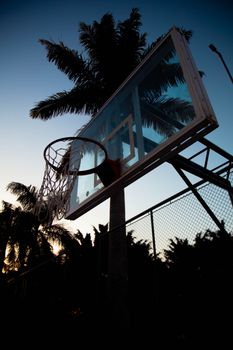 Basketball hoop silhouetted against a sunset sky with palm trees. Perfect for serene evening sports themes.