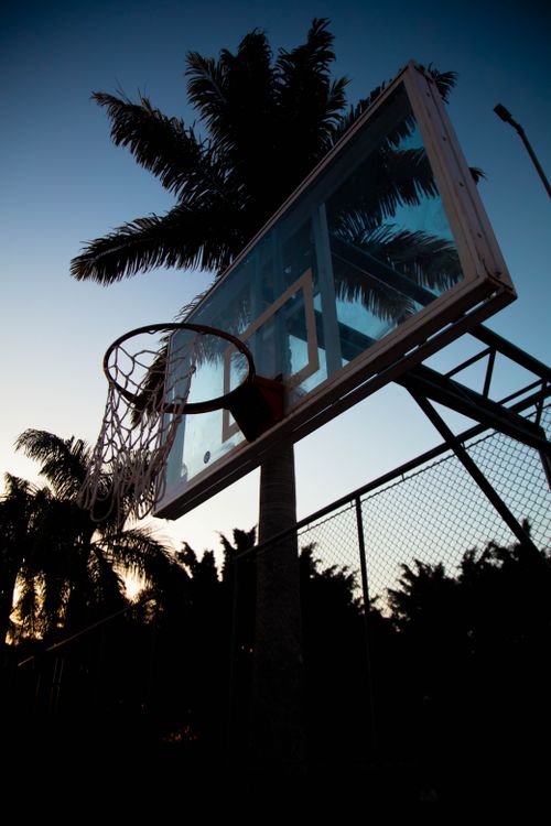 Free Basketball hoop silhouetted against a sunset sky with palm trees. Perfect for serene evening sports themes. Stock Photo
