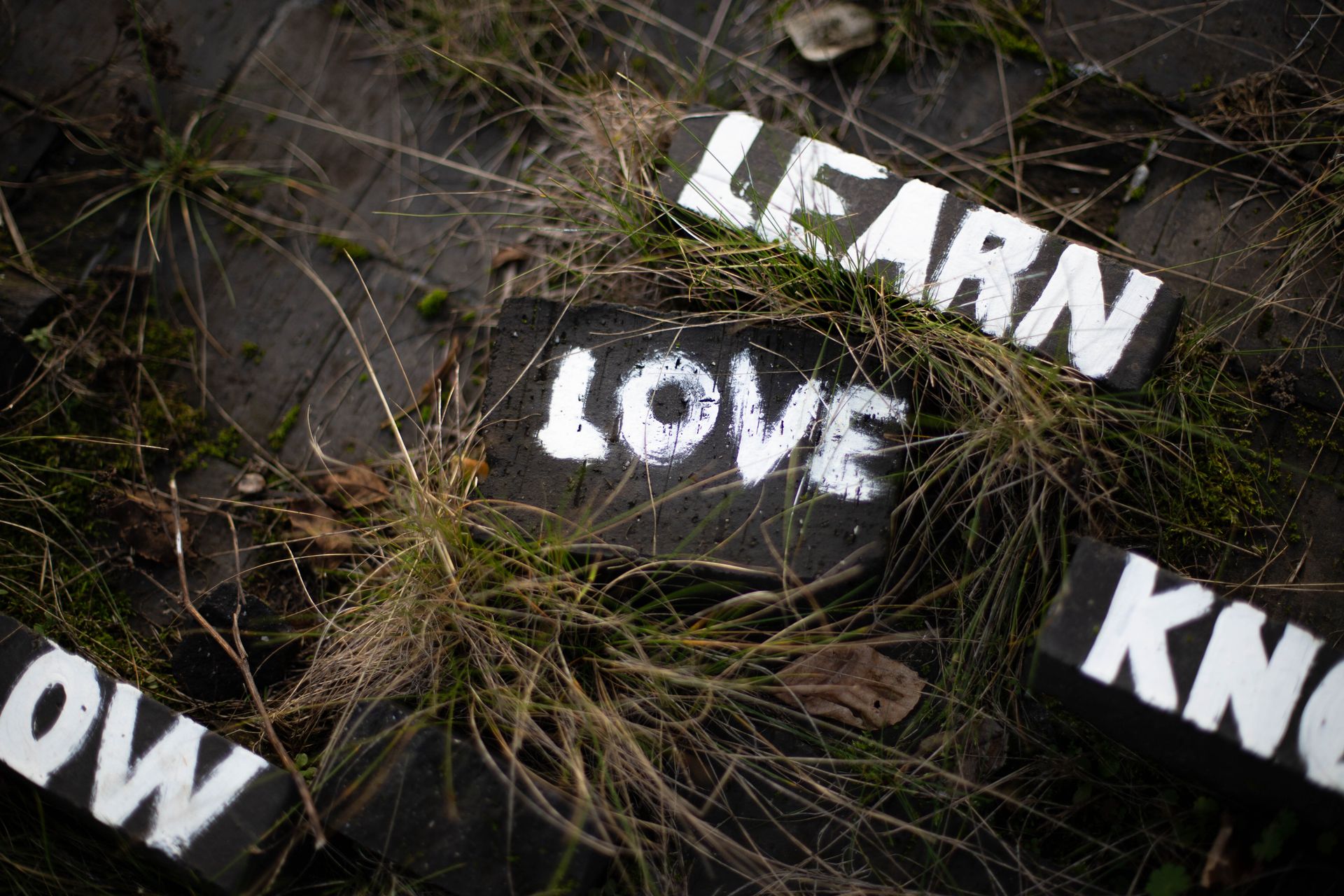 Artistic outdoor scene with painted bricks featuring words like love, learn, and know amidst grass.