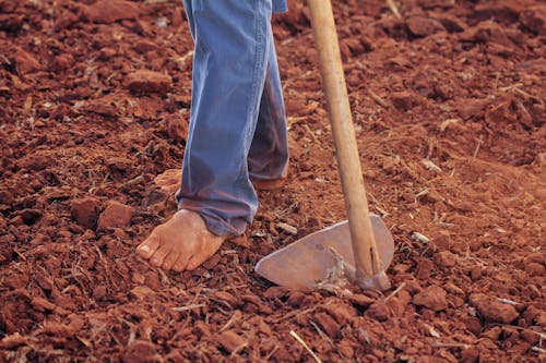 Free Person Plowing Soil Stock Photo