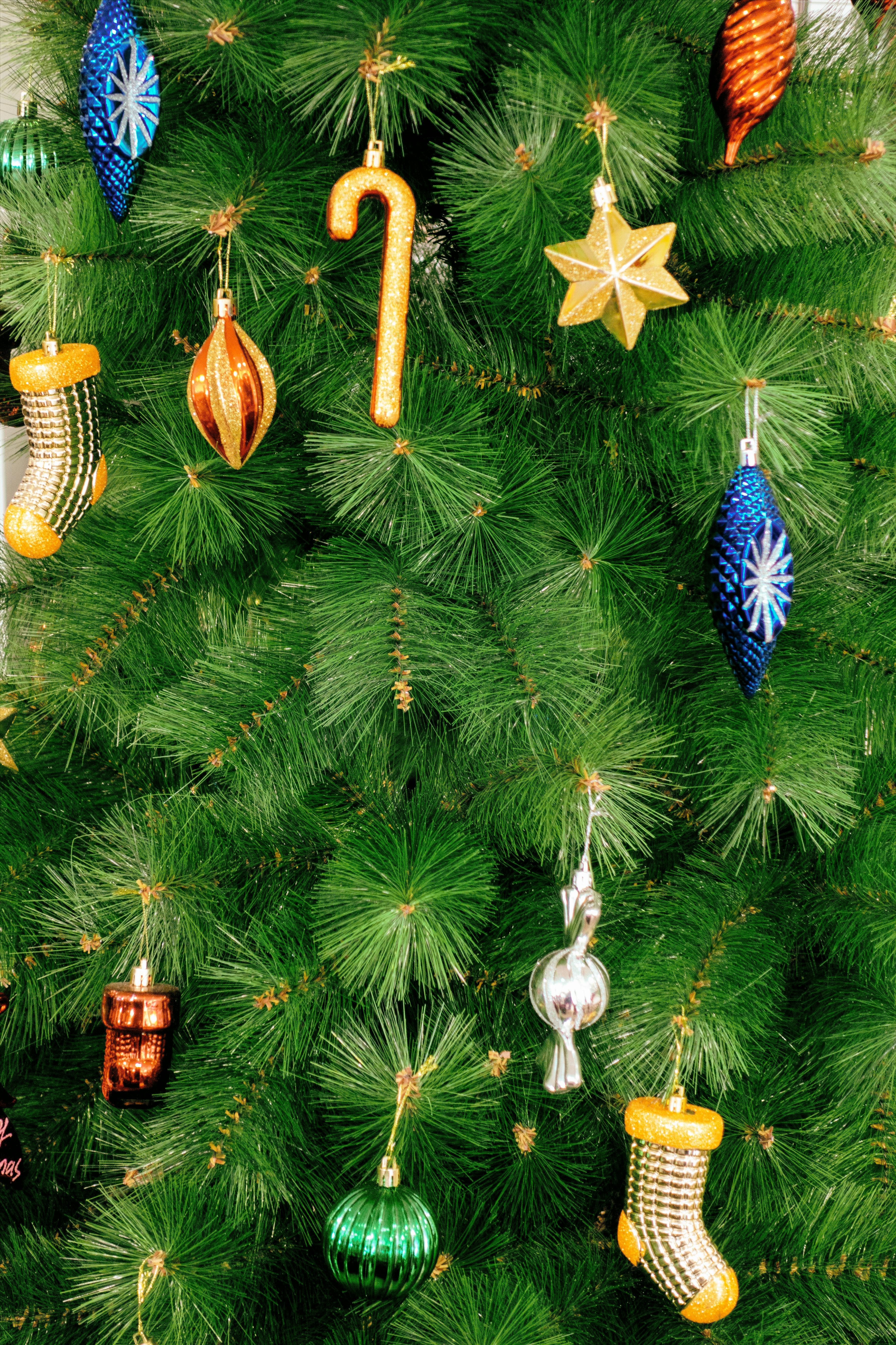 クリスマス, クリスマスツリー, クリスマスの飾りの無料の写真素材