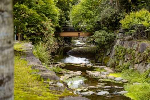 Bezaubernde Szene mit Brücke – Anime Art