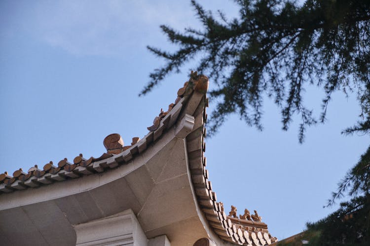 Branches Over Building Corner