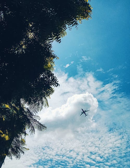 Základová fotografie zdarma na téma estetické pozadí, krásná obloha, letadlo