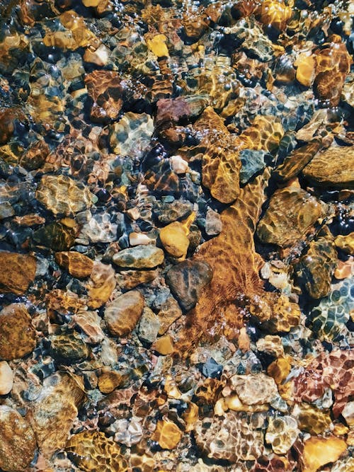 Rocks in Shallow Stream