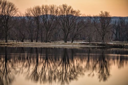 Free Peaceful winter landscape of trees reflecting in the Mississippi River at sunset in Wabasha, MN. Stock Photo