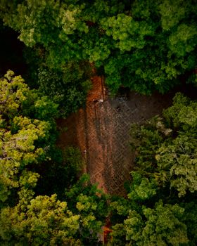 Stunning aerial shot capturing dense green forest and sunlit pavement.
