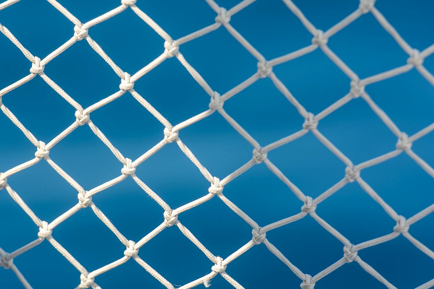 Network Graph Visualization