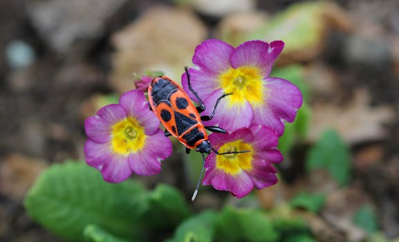 Image by Peter Mikuš