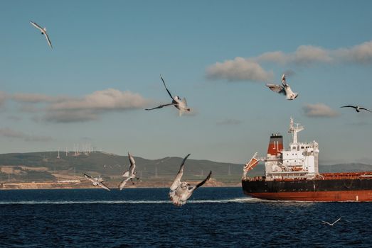 A large ship in the water with seagulls flying around it