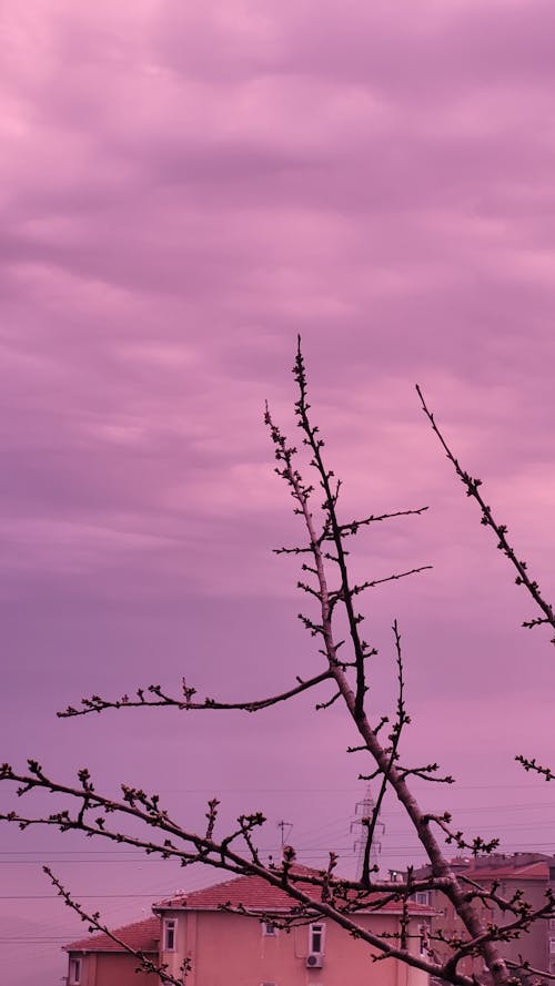 Ilmainen kuvapankkikuva tunnisteilla kaupunkeja, kuva alakulmasta, lähikuva