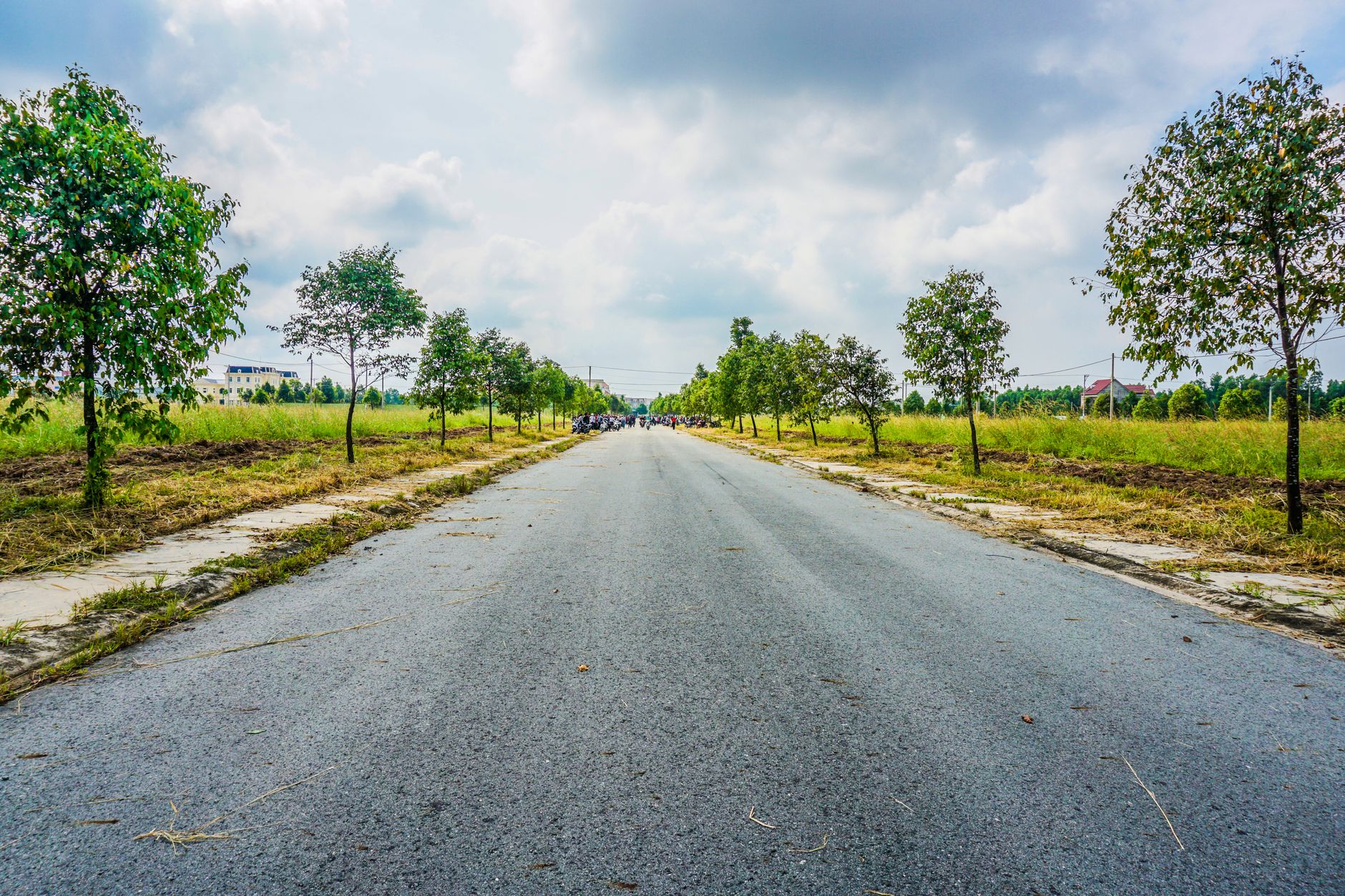 A tranquil rural road under a cloudy sky with trees and fields lined along the way.