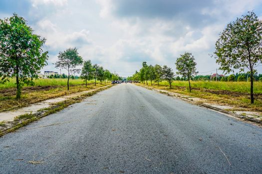 一条宁静的乡村道路，沿途绿树成荫，天空多云