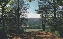 在晴朗的日子里，从森林的悬崖上俯瞰郁郁葱葱的绿色山谷，景色令人惊叹