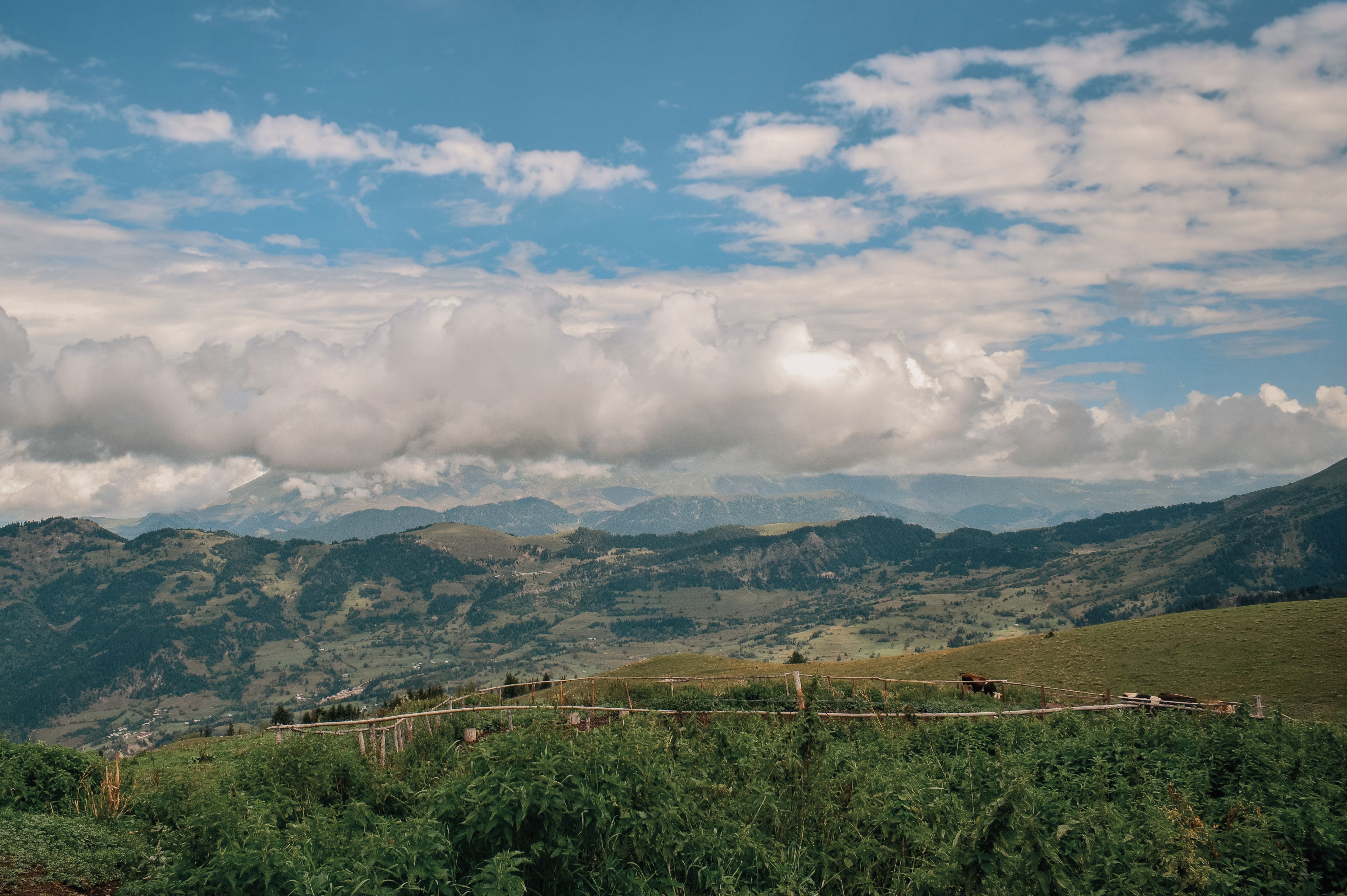 Artvin Merkez