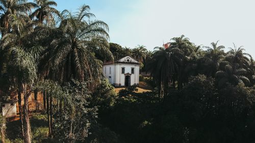 Free Charming colonial church nestled among tropical palm trees in Conselheiro Lafaiete, Brazil. Stock Photo
