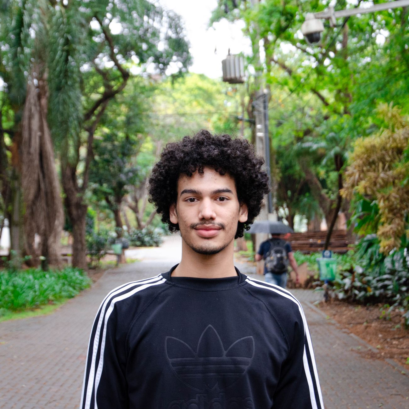 Portrait of a young man with curly hair standing in a lush green park.