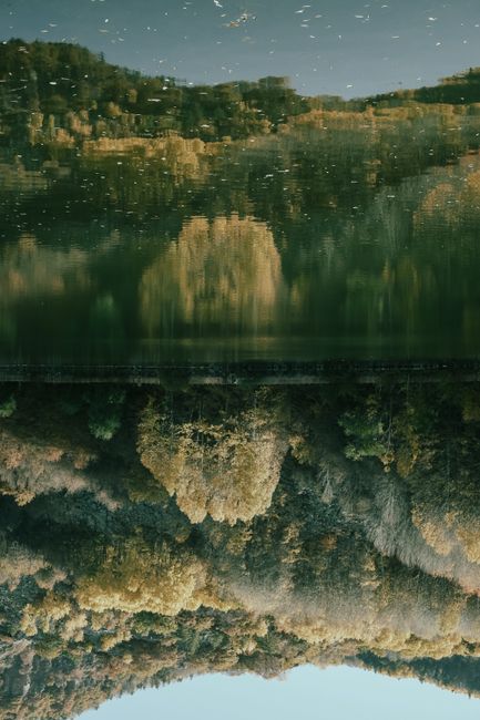 A serene vertical shot capturing forest and lake with mirror-like reflections creating a tranquil scene.