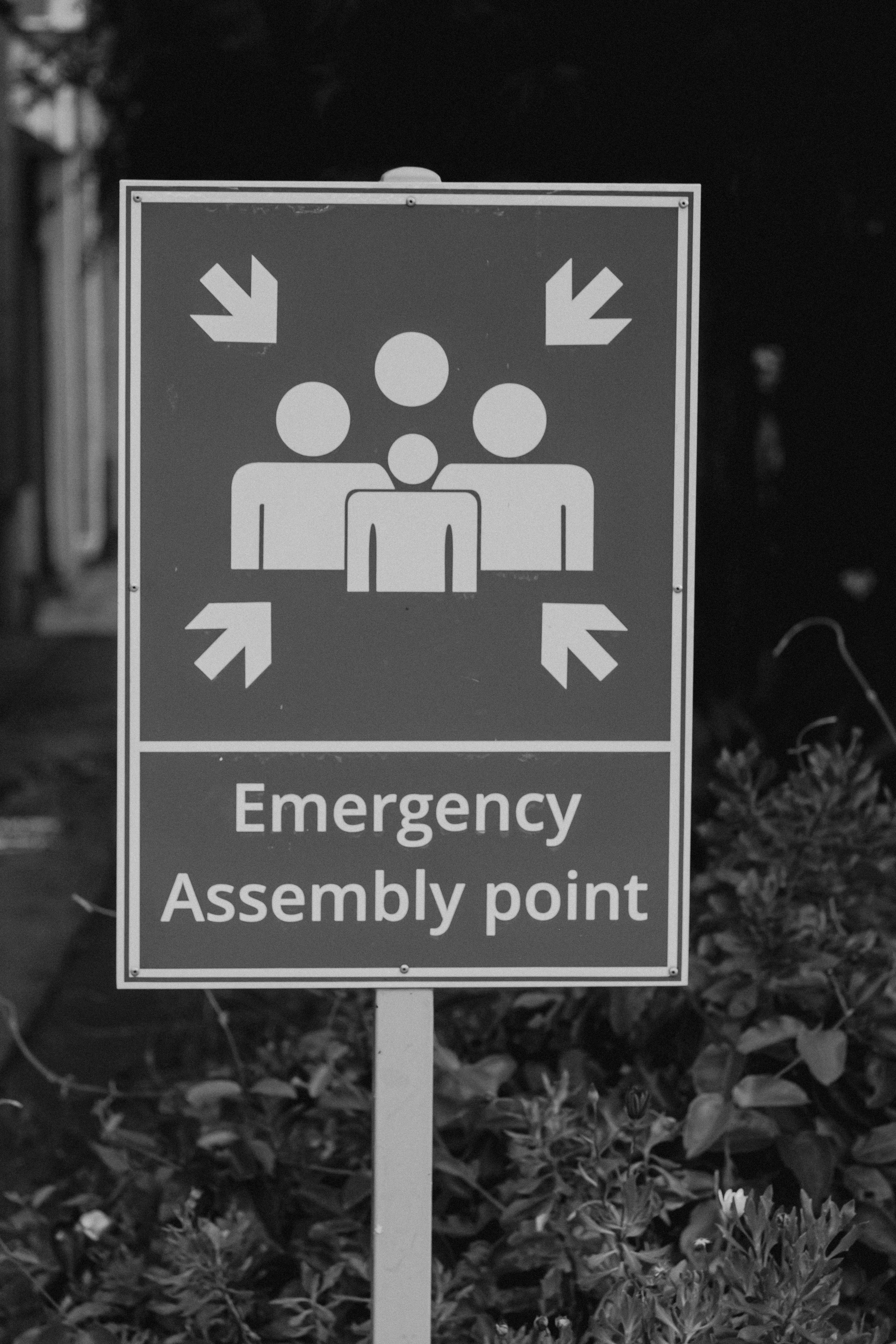 Foto de stock gratuita sobre advertencia, fotos en blanco y negro, de ...