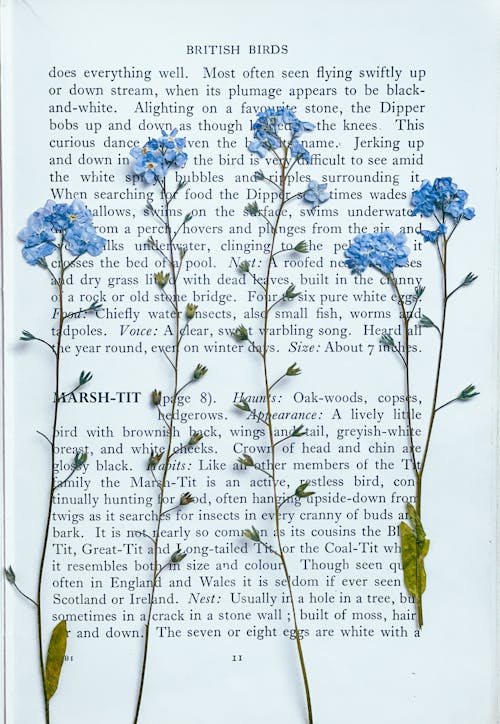 Blue Flowers on Book