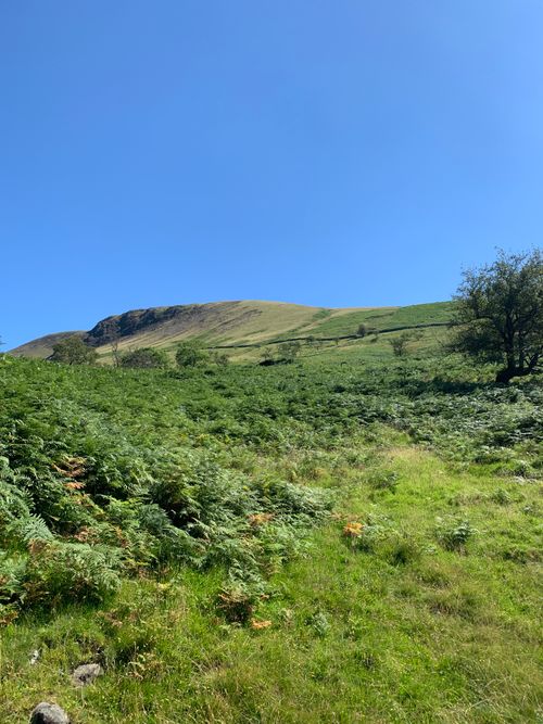 Free A lush green hill landscape under a bright blue sky in Cumbria, England. Perfect for nature enthusiasts. Stock Photo