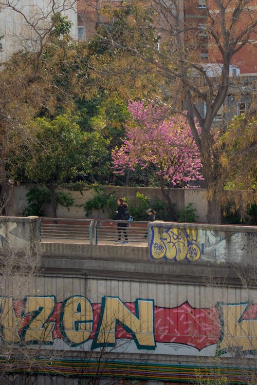 Foto d'estoc gratuïta de arbre, caminant, ciutat