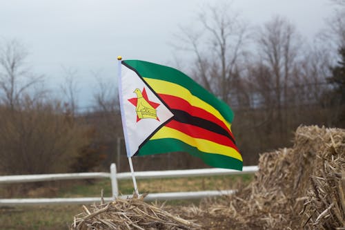 Immagine gratuita di bandiere, pexels, zimbabwe