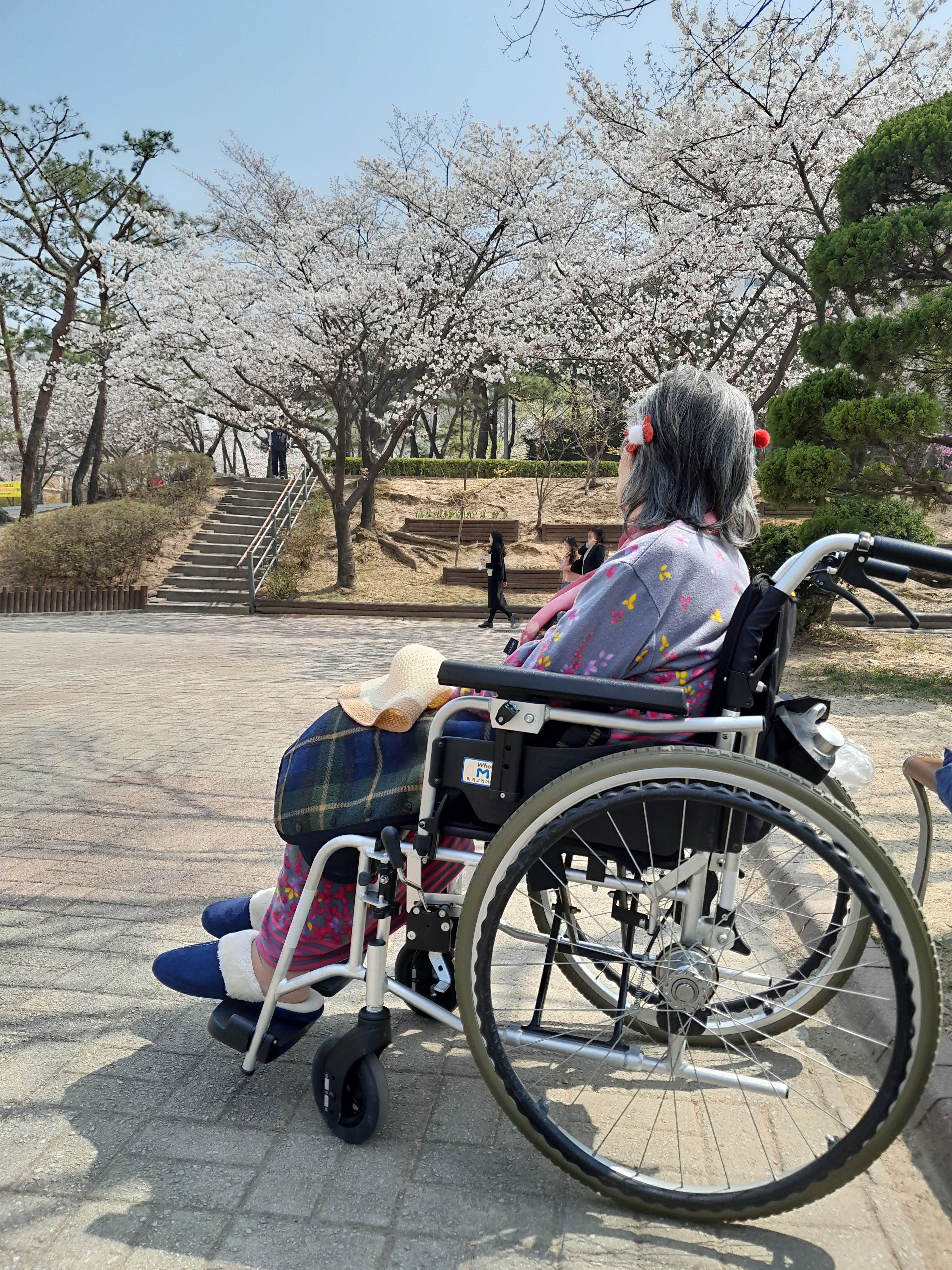 Dateability Expands Accessibility, Doubling User Base: A Niche Opportunity for Founders