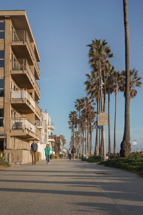 City Street with Palm Trees 