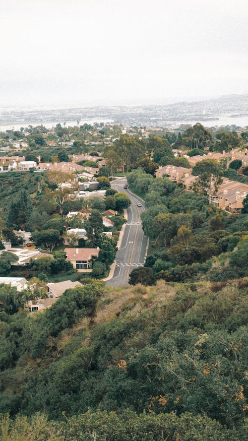 Free Aerial view of a winding road through lush greenery and suburban homes in San Diego, California. Stock Photo