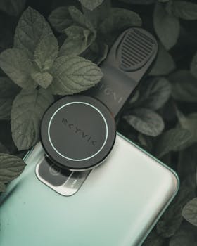 Close-up of a car gadget on a smartphone among fresh mint leaves, outdoors.