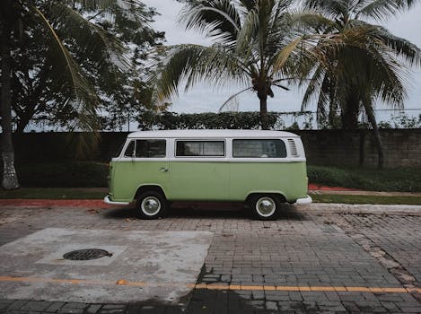 阳光明媚的日子里，一辆经典的绿色大众货车停在户外的棕榈树下