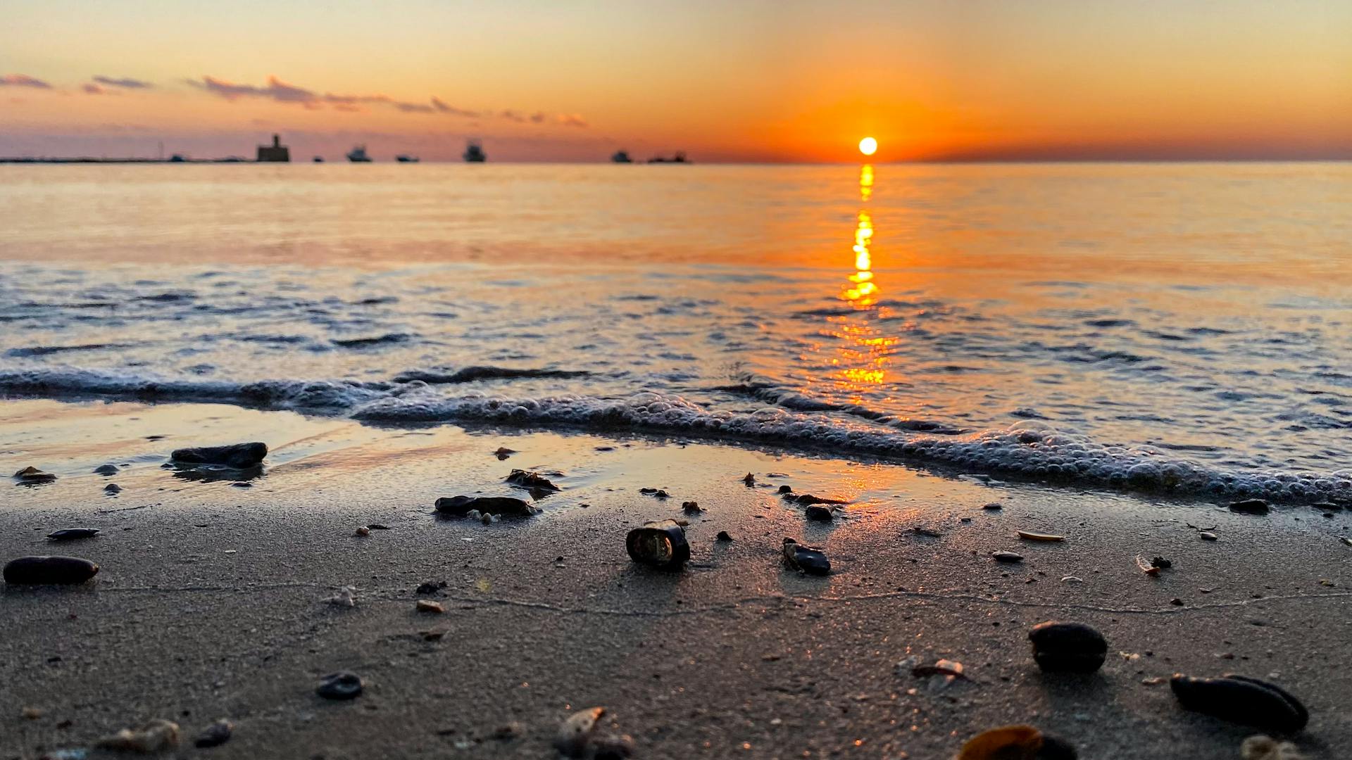 Peaceful sunset over the Red Sea with shells on the beach at Al Owina, Egypt.