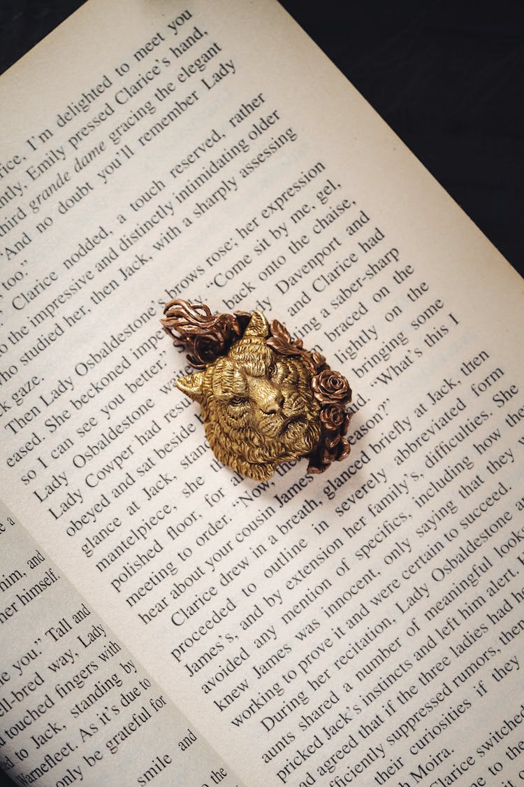 Key Ring On The Page Of A Book 