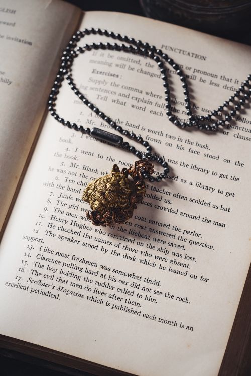 Free Close-up of a vintage tiger pendant with a chain on an open book page, creating a nostalgic feel. Stock Photo