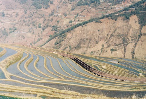 Foto d'estoc gratuïta de fora de la porta, hivernal, llum solar