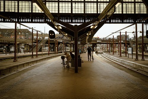 기다리는, 기차, 기차역의 무료 스톡 사진