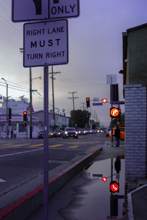 Free A reflective Los Angeles street scene capturing traffic signs and wet pavement at dusk. Stock Photo