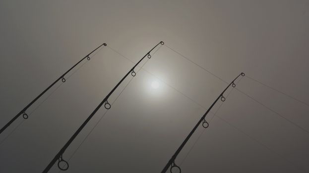 Free stock photo of angle, angler, bait