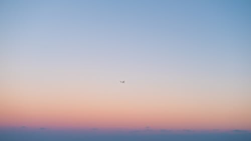 무료 비행기의 실루엣 스톡 사진