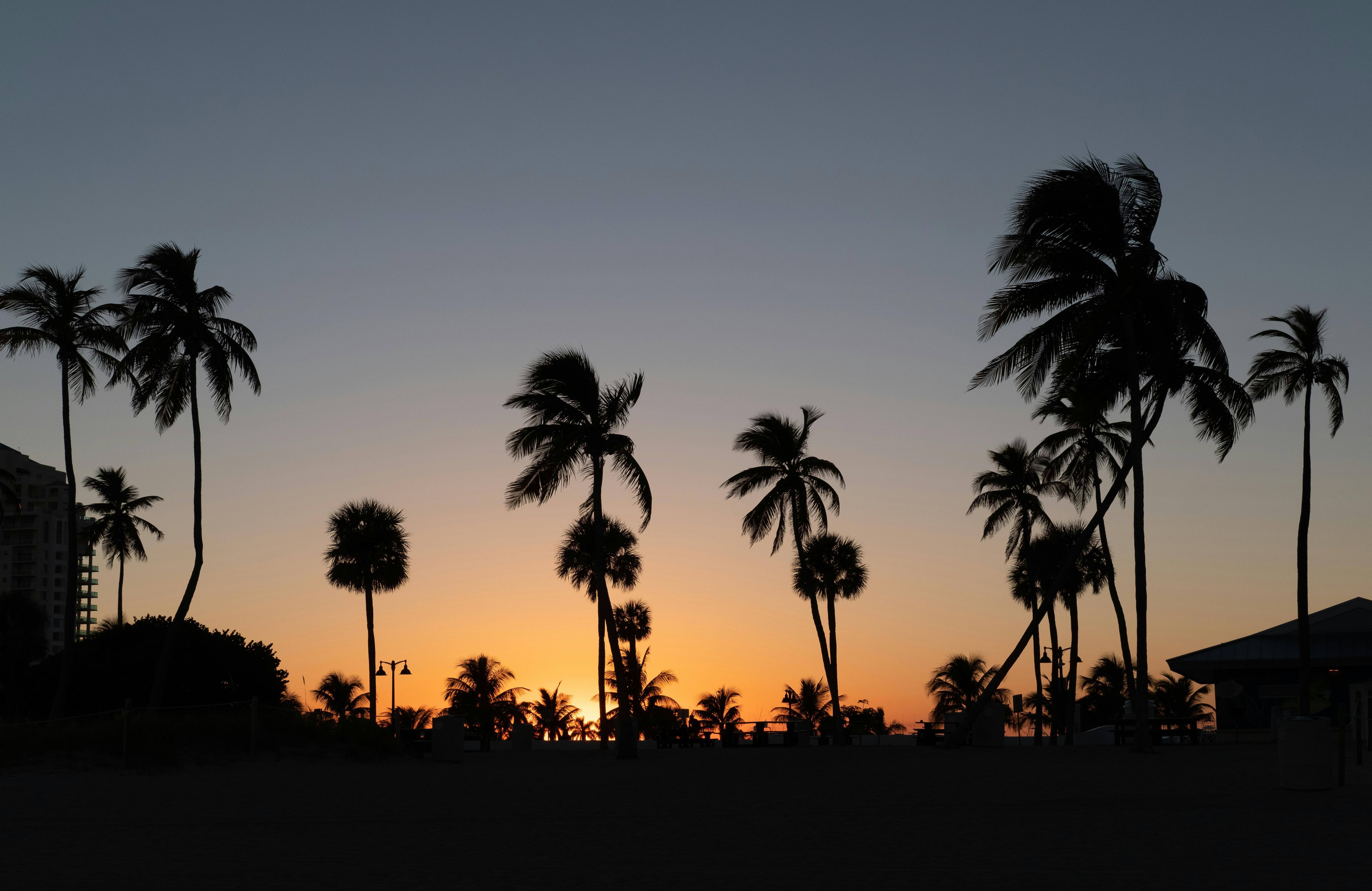 2027: Lege Miami, others map out grassroots devt, intensify political mobilization — Photo by Tyler Lastovich on Pexels