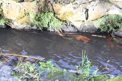 Gratis stockfoto met dorp, stadsreis, vuil water