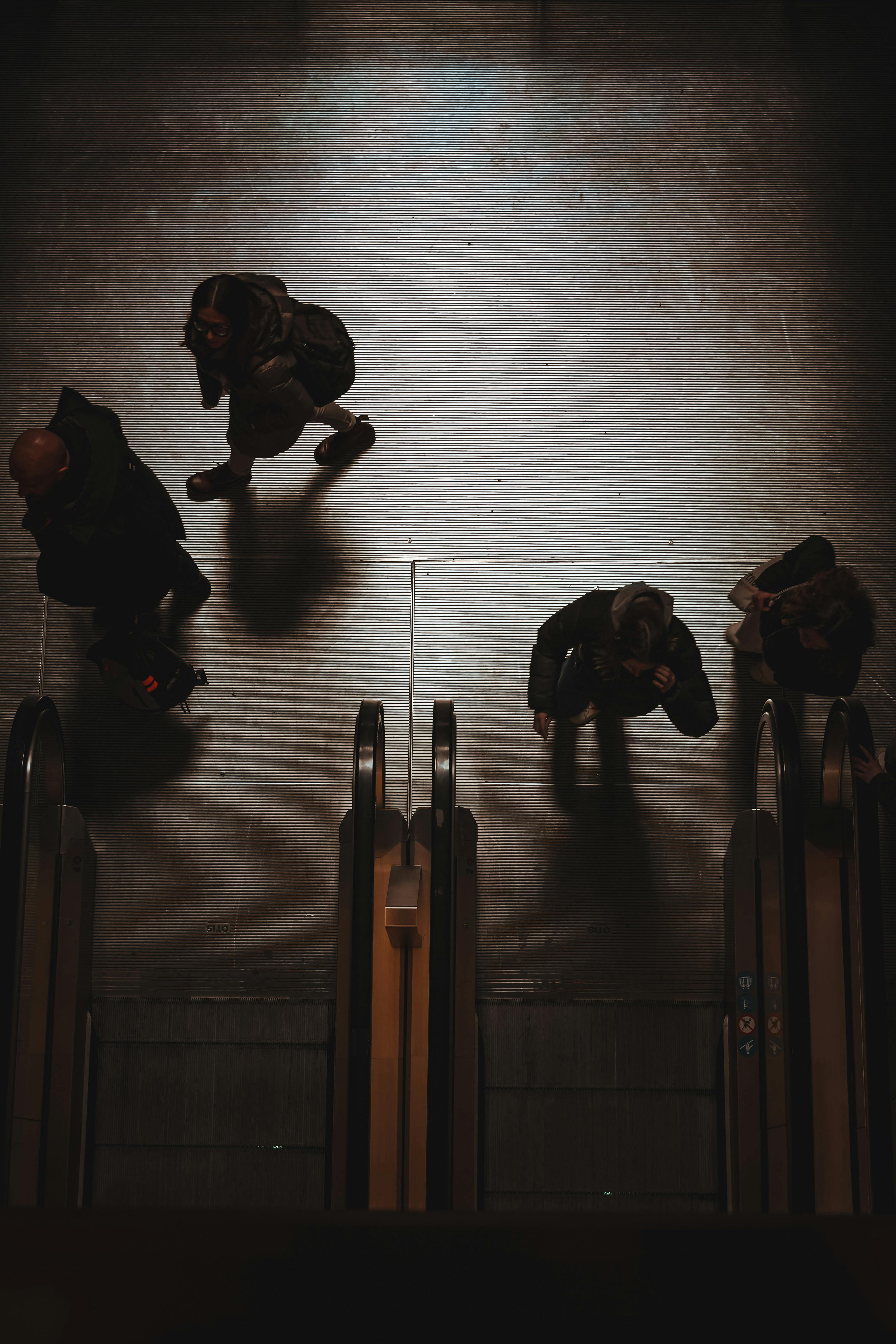 Ücretsiz #kapalı, acele, armoni içeren Ücretsiz stok fotoğraf Stok Fotoğraflar