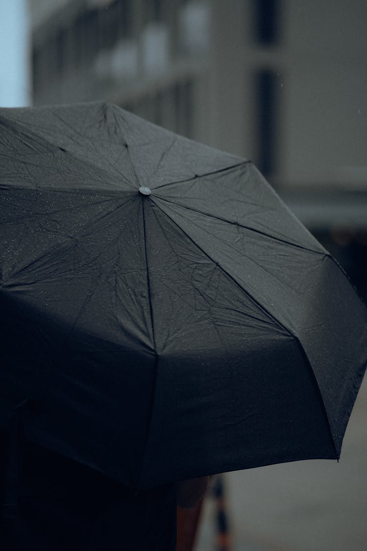 Black Umbrella In Rain