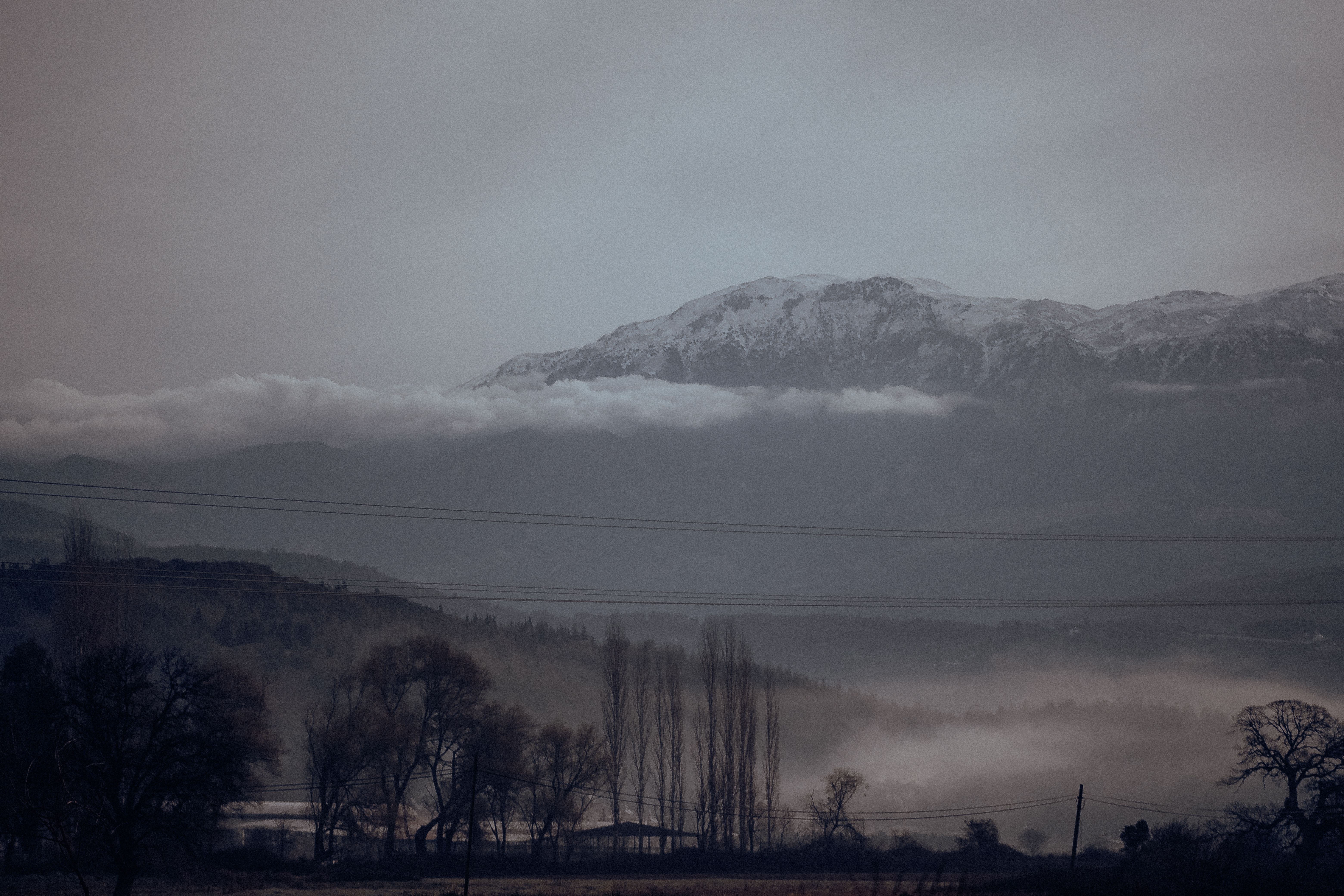 The Quiet North