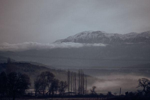 Snow-topped range above a valley of bare trees — photo by Atahan Demir on Pexels