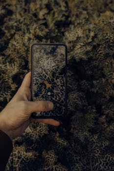 Hand holding a smartphone reflecting textured green leaves. Outdoor scene.